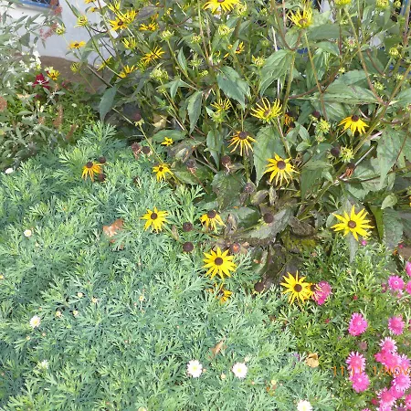 Kolpinghaus Spittal فندق