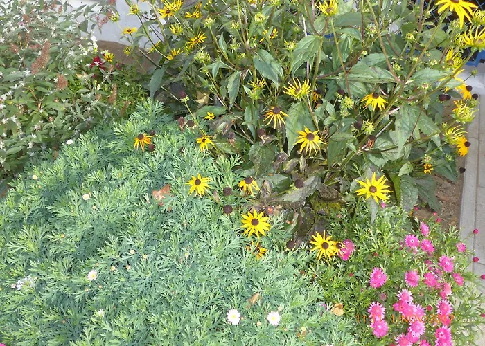 Kolpinghaus Spittal Hotel