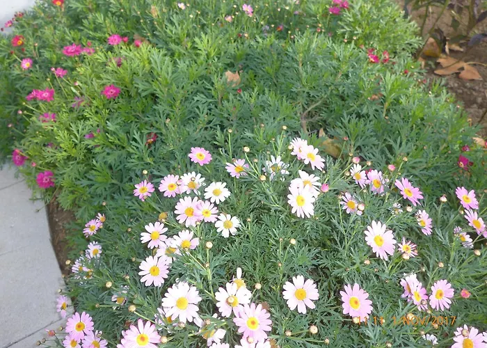 Kolpinghaus Spittal * Spittal an der Drau